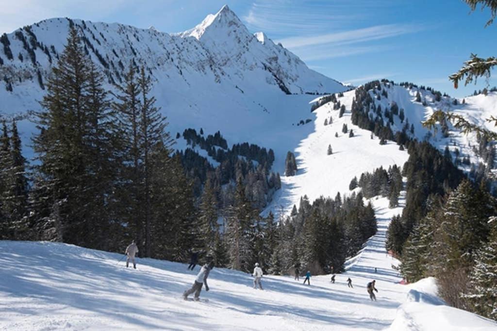 Apartment L'enchalpe, Grand Et Lumineux Avec Coin Montagne 5 Personnes, 60m Des Pistes, Piscine Couverte, Wifi, Grand Balcon Expo Est, Draps Non Compris *