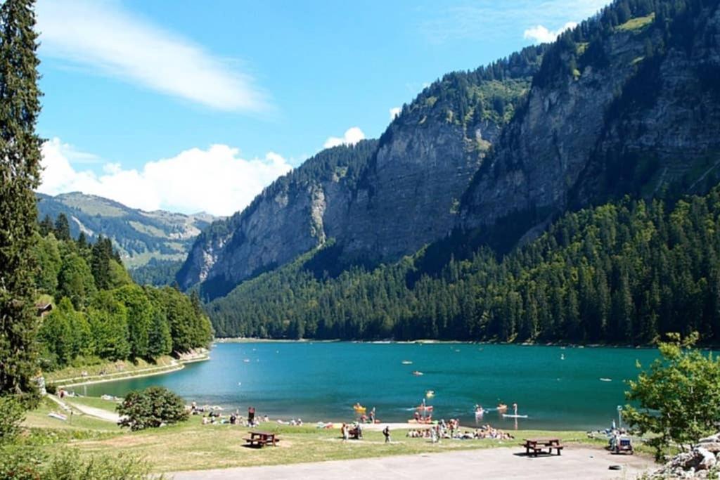 L'enchalpe, Grand Et Lumineux Avec Coin Montagne 5 Personnes, 60m Des Pistes, Piscine Couverte, Wifi, Grand Balcon Expo Est, Draps Non Compris Saint-Jean-dʼAulps